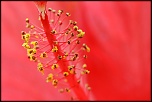 -img_5976_dxo.jpg