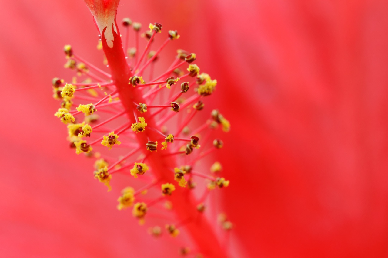 -img_5976_dxo.jpg