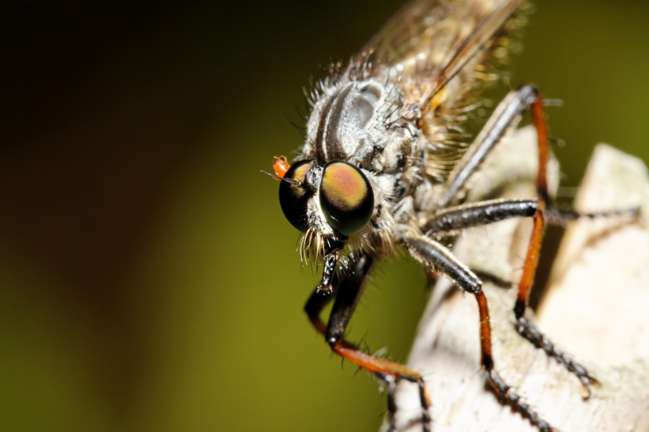 -img_5516_dxo.jpg
