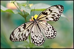 -img_6011_dxo.jpg