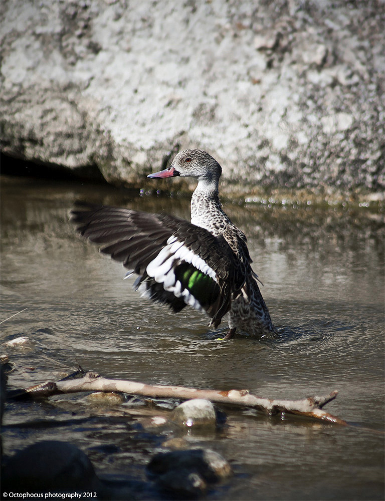 -img_9805.jpg