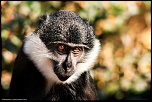 -img_9982.jpg