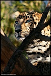 -img_0068.jpg