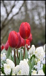 -img_2253.jpg