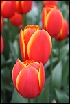 -img_2266.jpg