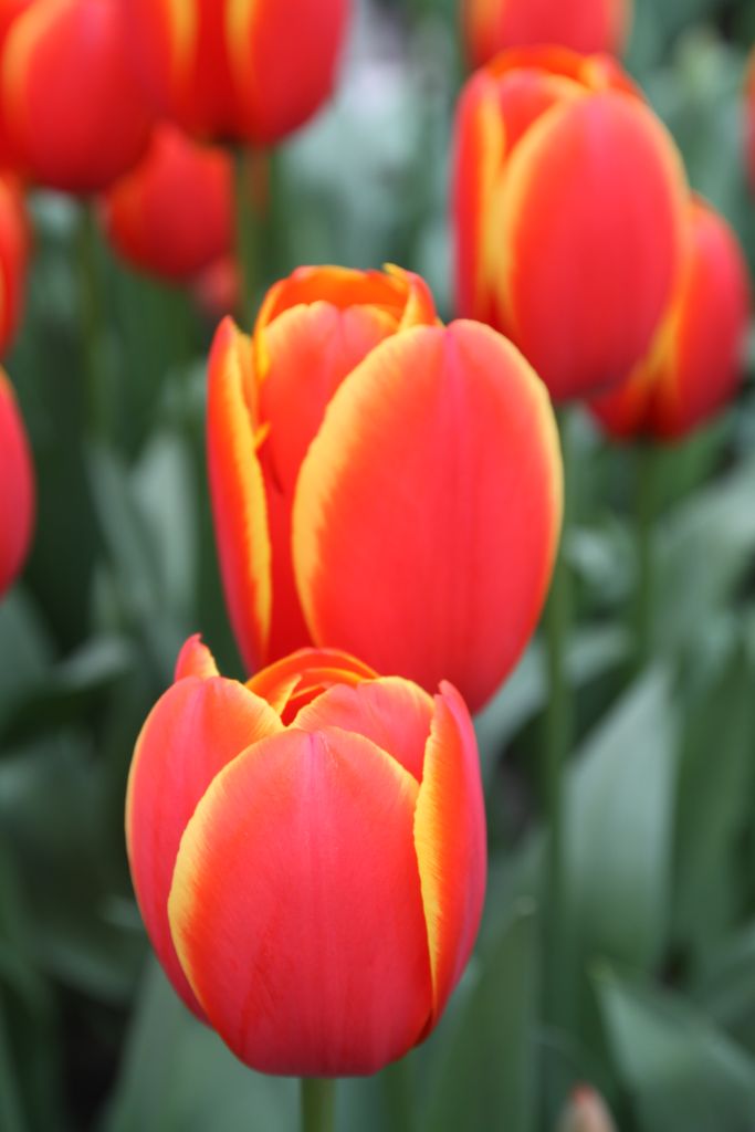 -img_2266.jpg
