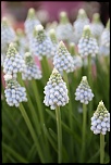 -img_2360.jpg