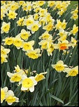 -img_25431.jpg