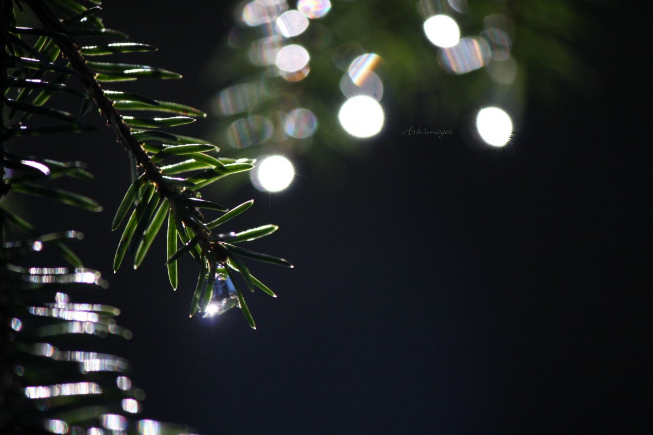 nettoyage capteurs-fevrier-2012-049.jpg