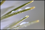 nettoyage capteurs-fevrier-2012-086.jpg