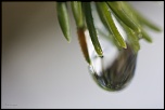 nettoyage capteurs-fevrier-2012-042.jpg
