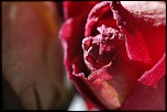 nettoyage capteurs-mars-2012-007.jpg