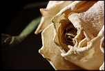 nettoyage capteurs-mars-2012-011.jpg