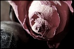 nettoyage capteurs-mars-2012-030.jpg