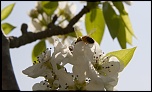 encore un nouveau-img_0715-yyyymmdd-date-br.jpg