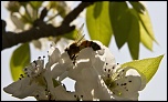 encore un nouveau-img_0716-yyyymmdd-date-r.jpg