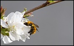 encore un nouveau-img_0821-yyyymmdd-date-03r.jpg