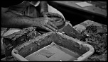 -img_4486.jpg