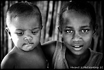 70-300 Sigma APO-img_4796.jpg