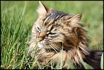 DON-img_8116.jpg
