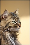 DON-img_8117.jpg