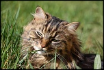 DON-img_8115.jpg