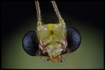 -2012-04-11-20.11.05-zs-final.jpg