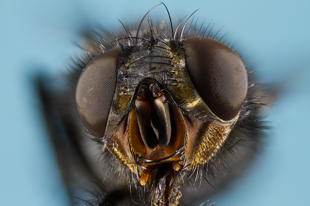-2012-04-09-21.14.59-zs-retouched.jpg
