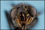 -2012-04-09-21.14.59-zs-retouched.jpg