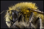 -2012-04-14-00.54.37-zs-final.jpg