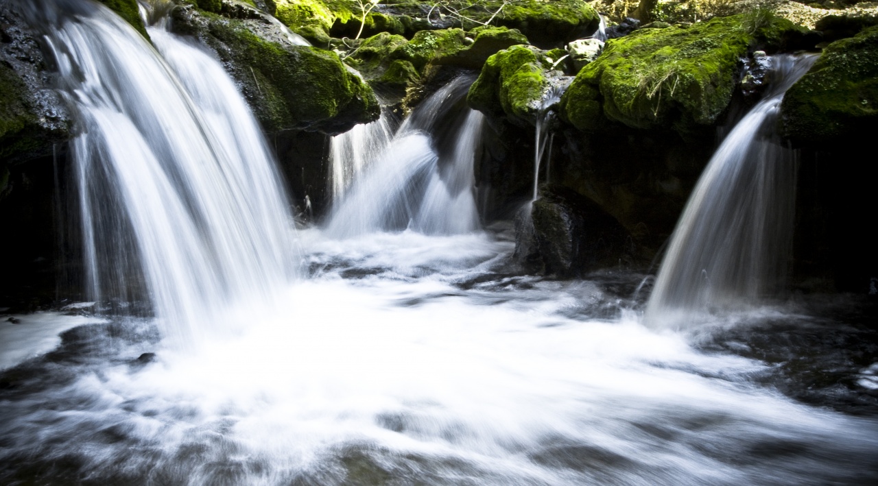 La brague