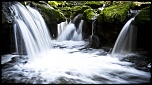 La brague