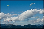55-200 USM-3473.jpg