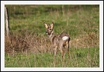 -_mg_9543-2comp.jpg
