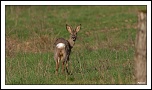 -_mg_9524-2.jpg