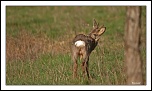 -_mg_9520-2.jpg