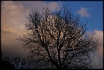 IMG 2070 1024