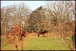 IMG 1804 1024