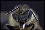 -2012-04-15-22.24.52-zs-final.jpg
