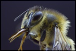 -2012-04-16-19.55.52-zs-final.jpg
