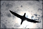 70-300 Sigma APO-3489.jpg