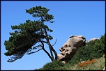 LES PRESENTATIONS-3492.jpg