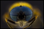 -2012-04-18-20.52.58-zs-final.jpg