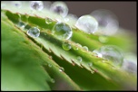 nettoyage capteurs-mars-2012-134.jpg