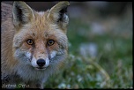 -img_4647.jpg