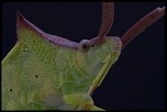 -2012-04-22-18.00.30-zs-final.jpg