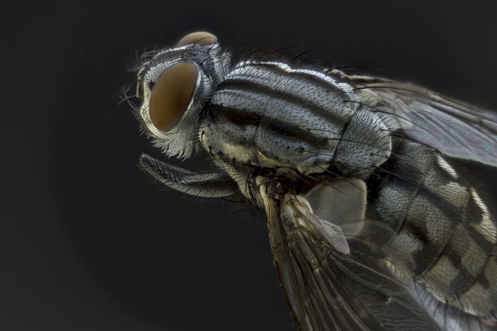 -2012-04-20-15.38.37-zs-pmax-final.jpg