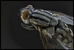 -2012-04-20-15.38.37-zs-pmax-final.jpg