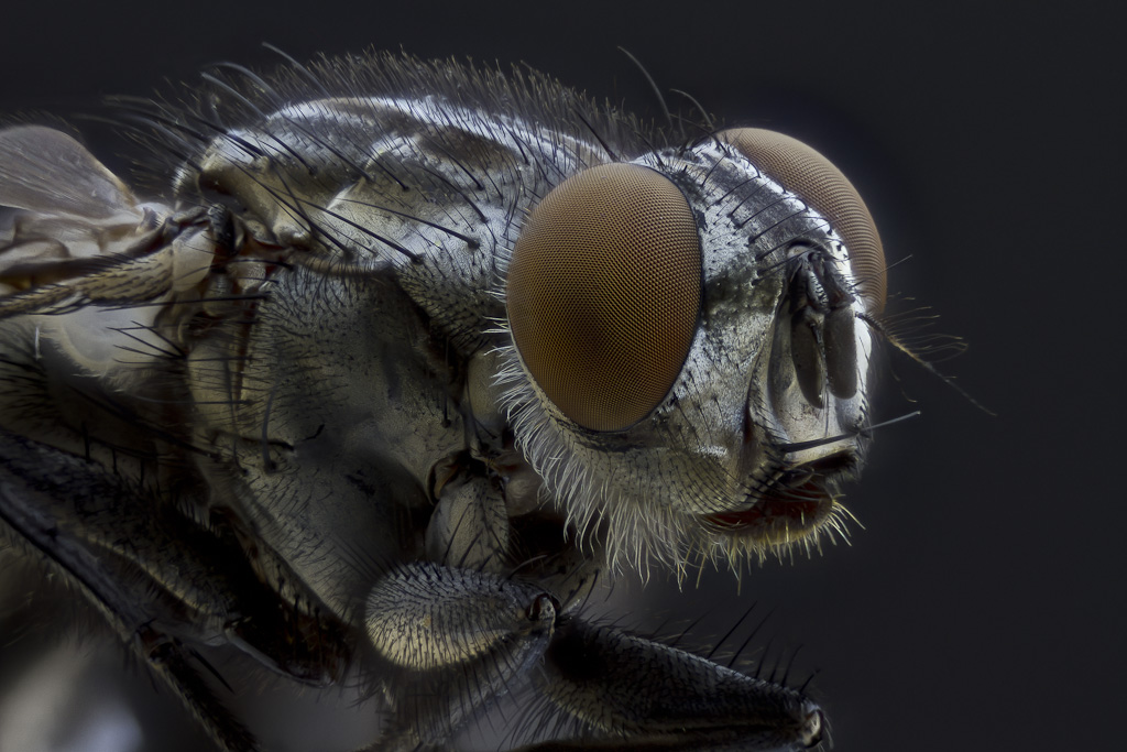 -2012-04-19-19.54.09-zs-pmax-final.jpg