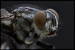 -2012-04-19-19.54.09-zs-pmax-final.jpg